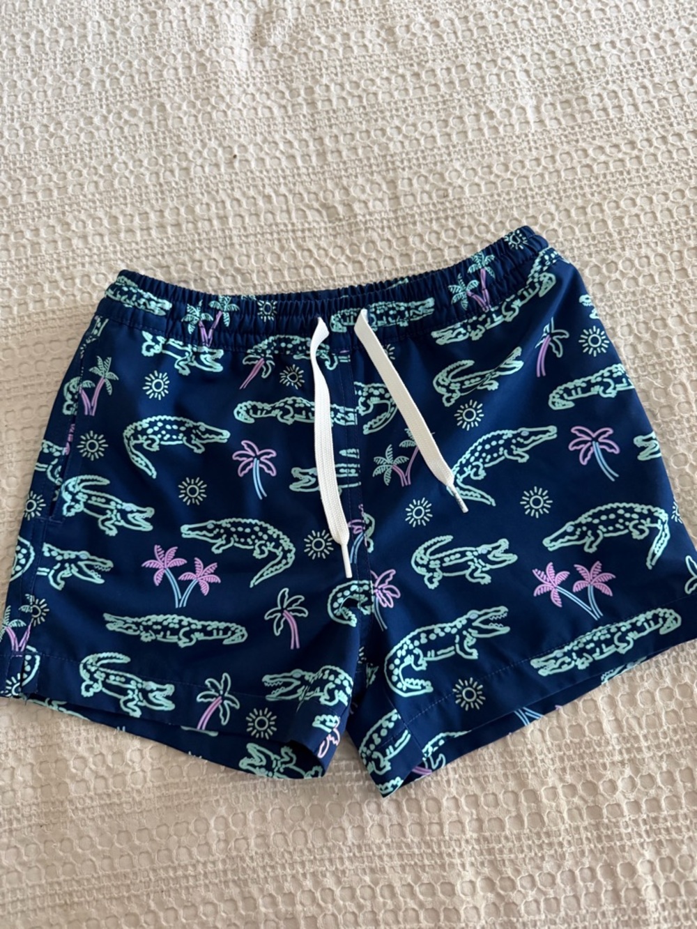 chubbies Navy Swim Shorts with Mint and Lavender Accents